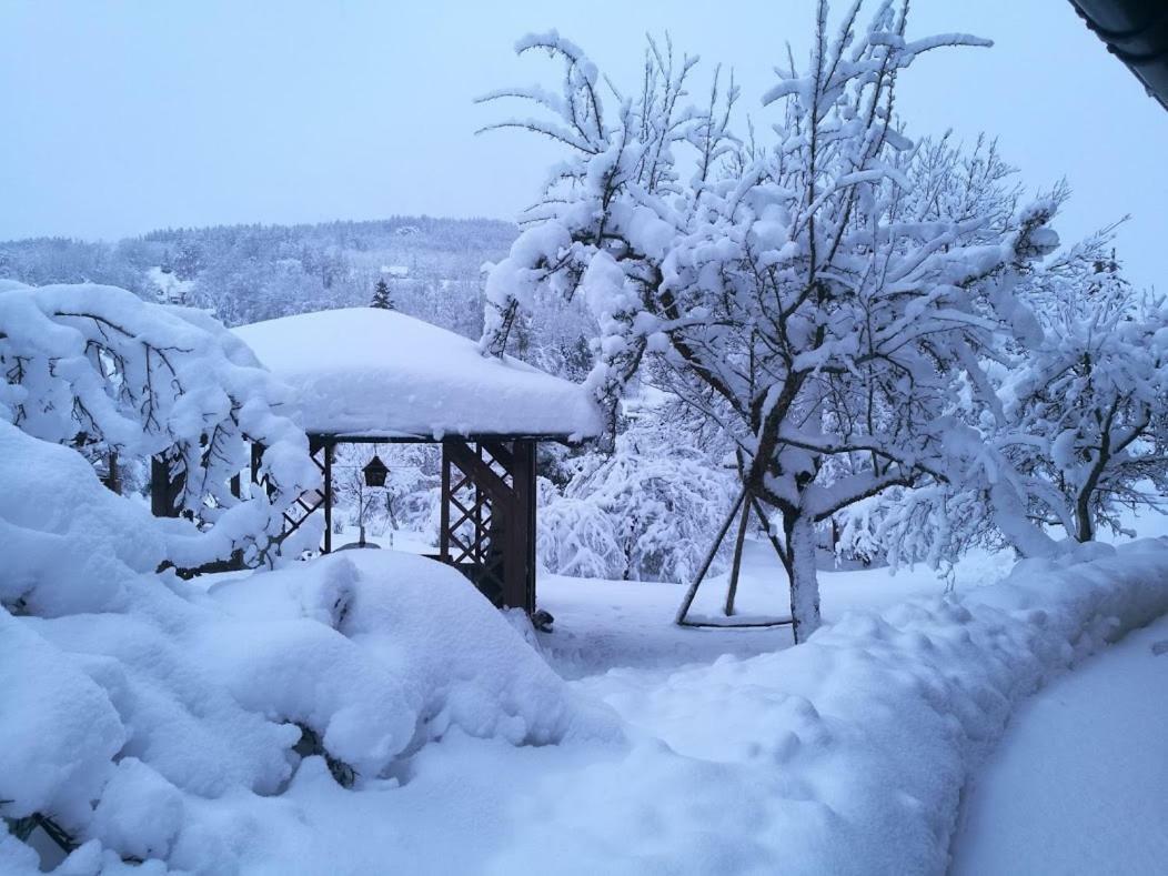 Apartment Rokys Rokytnice nad Jizerou Bagian luar foto